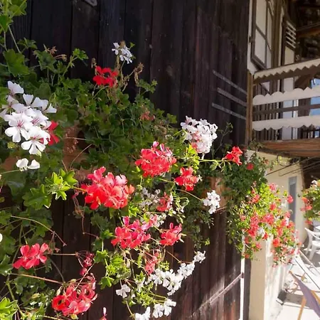 Maison De La Coutetta Holiday home *